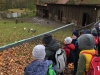 IMG_4328 (2)