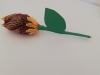 Meda-J.-6a