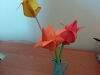 Paulina-F.-5a