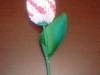 Sabina-G.-5a-