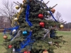 IMG_20201205_120410