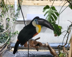 2C-klases-isvyka-i-Zoopark-4