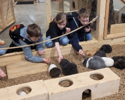 2C-klases-isvyka-i-Zoopark-7