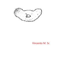 vincentas